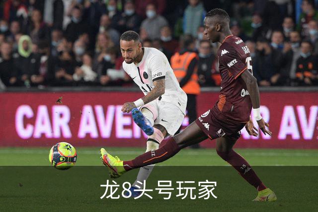 龙8头号玩家公司介绍